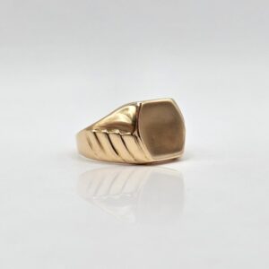 ANILLO SELLO N21
