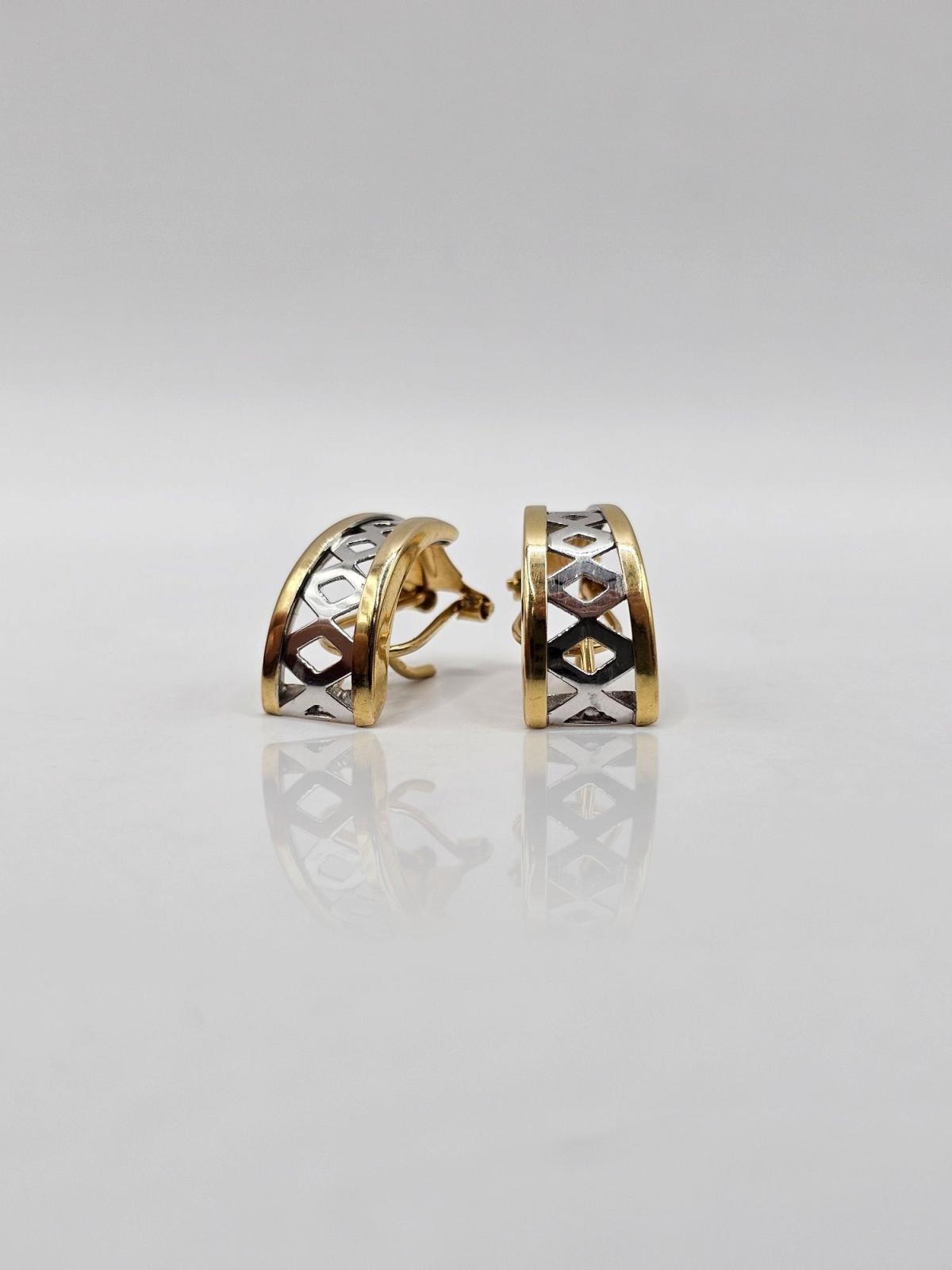 PENDIENTES BICOLOR CIERRE OMEGA
